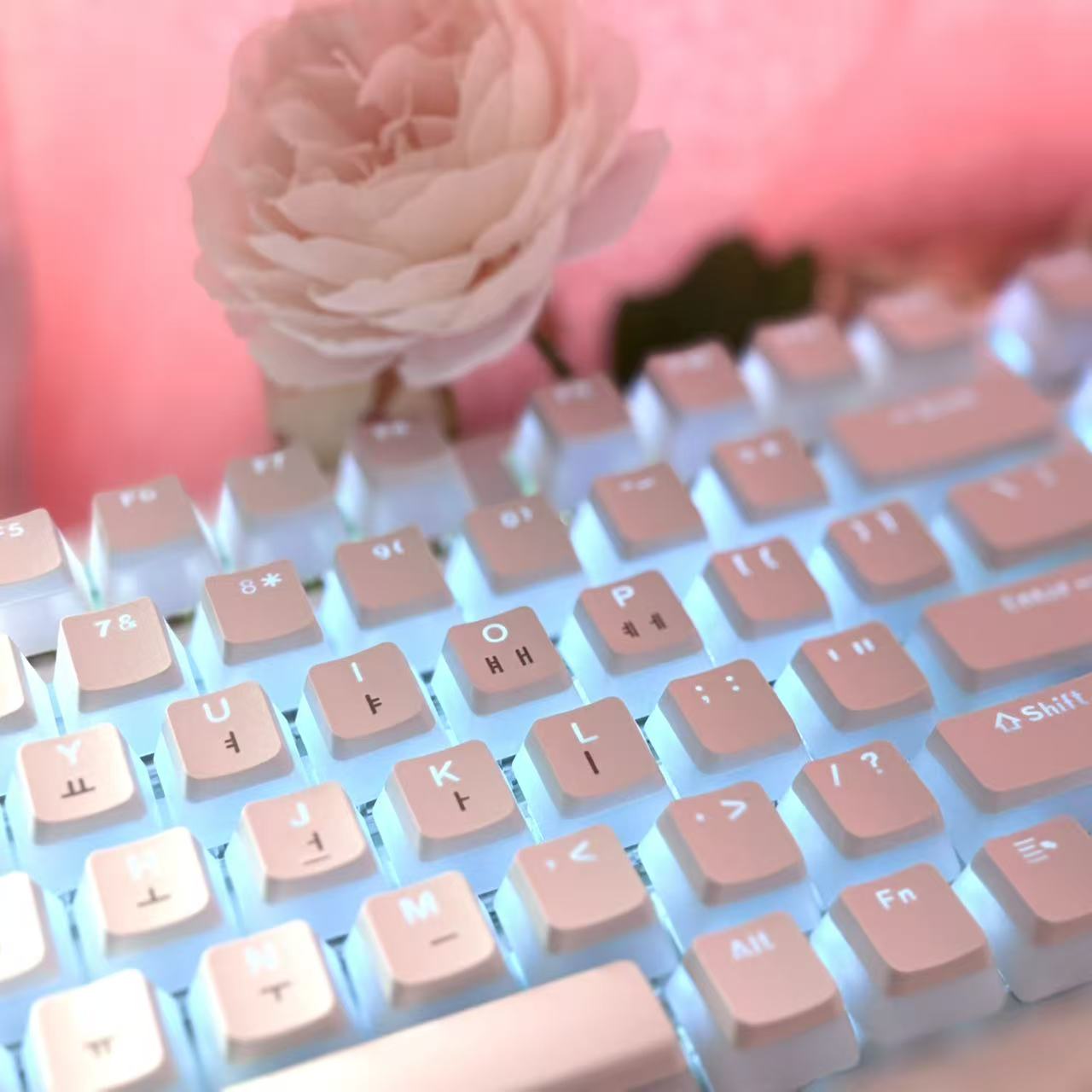 Hangul Keycap Koreaanse Lay-Ou - Gaming Accessories Aesthetic recensie en prijs